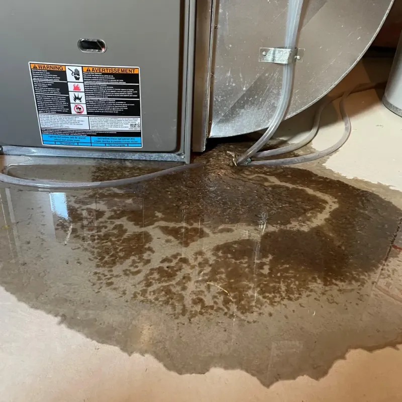 Appliance Leak Cleanup in Isle of Wight County, VA